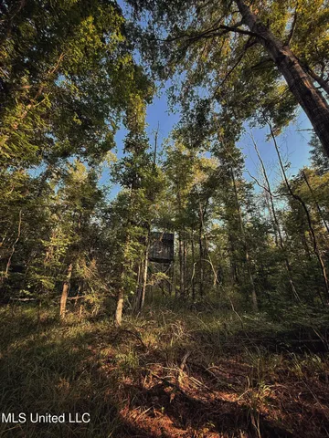 $314,730 | Sumrall Road, Crystal Springs, MS 39059