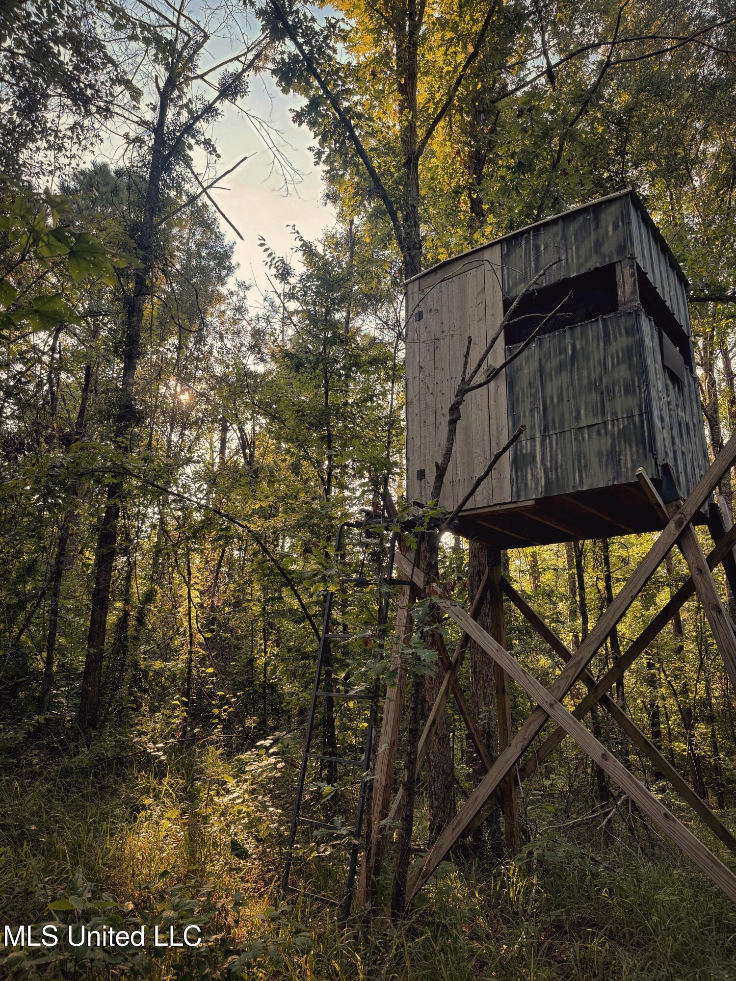 Sumrall Road Crystal Springs, MS 39059 - Photo 15 of 15 IMG_9541