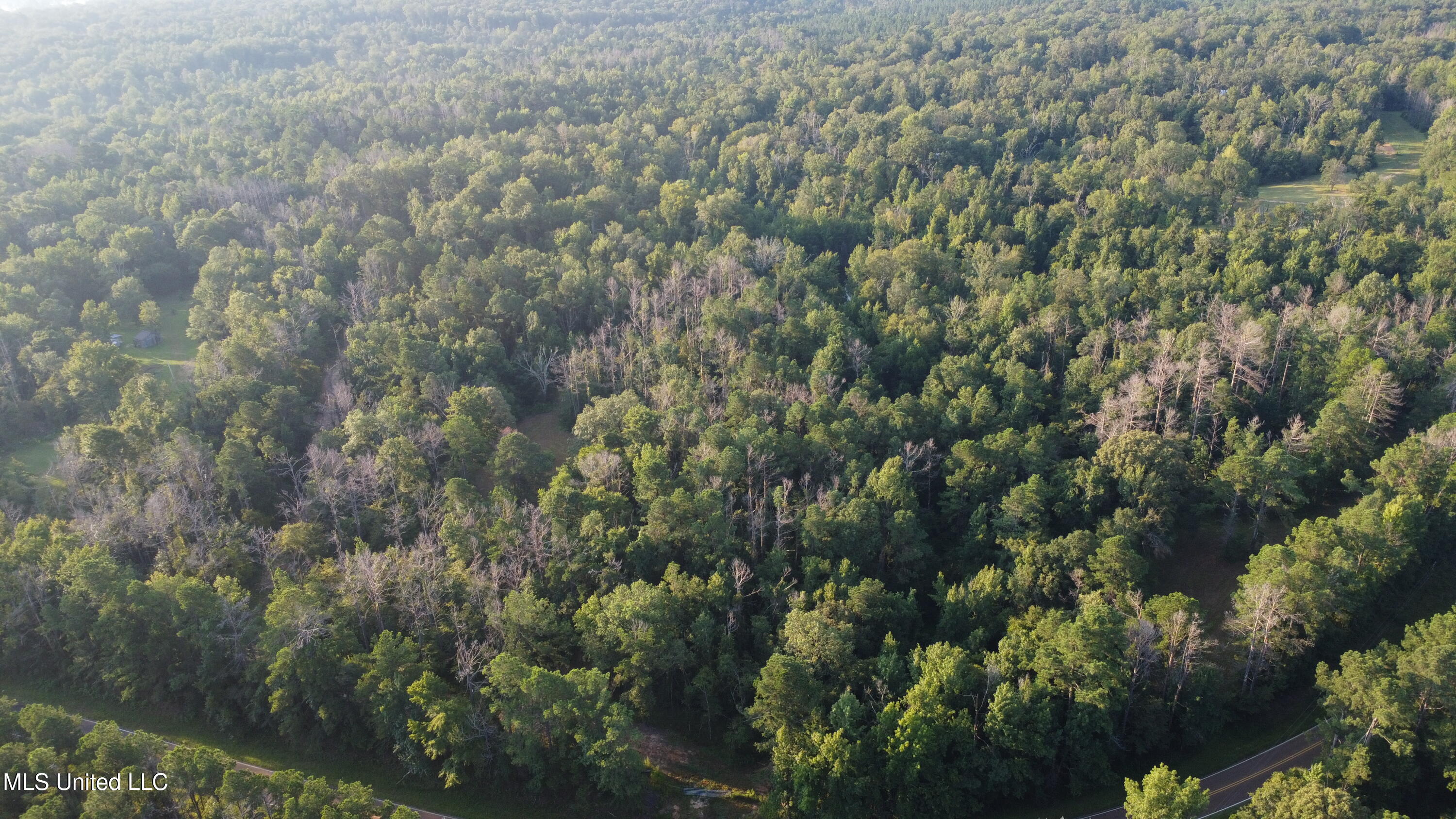 Sumrall Road Crystal Springs, MS 39059 - Photo 2 of 15 dji_fly_20250807_073048_167_175457025603