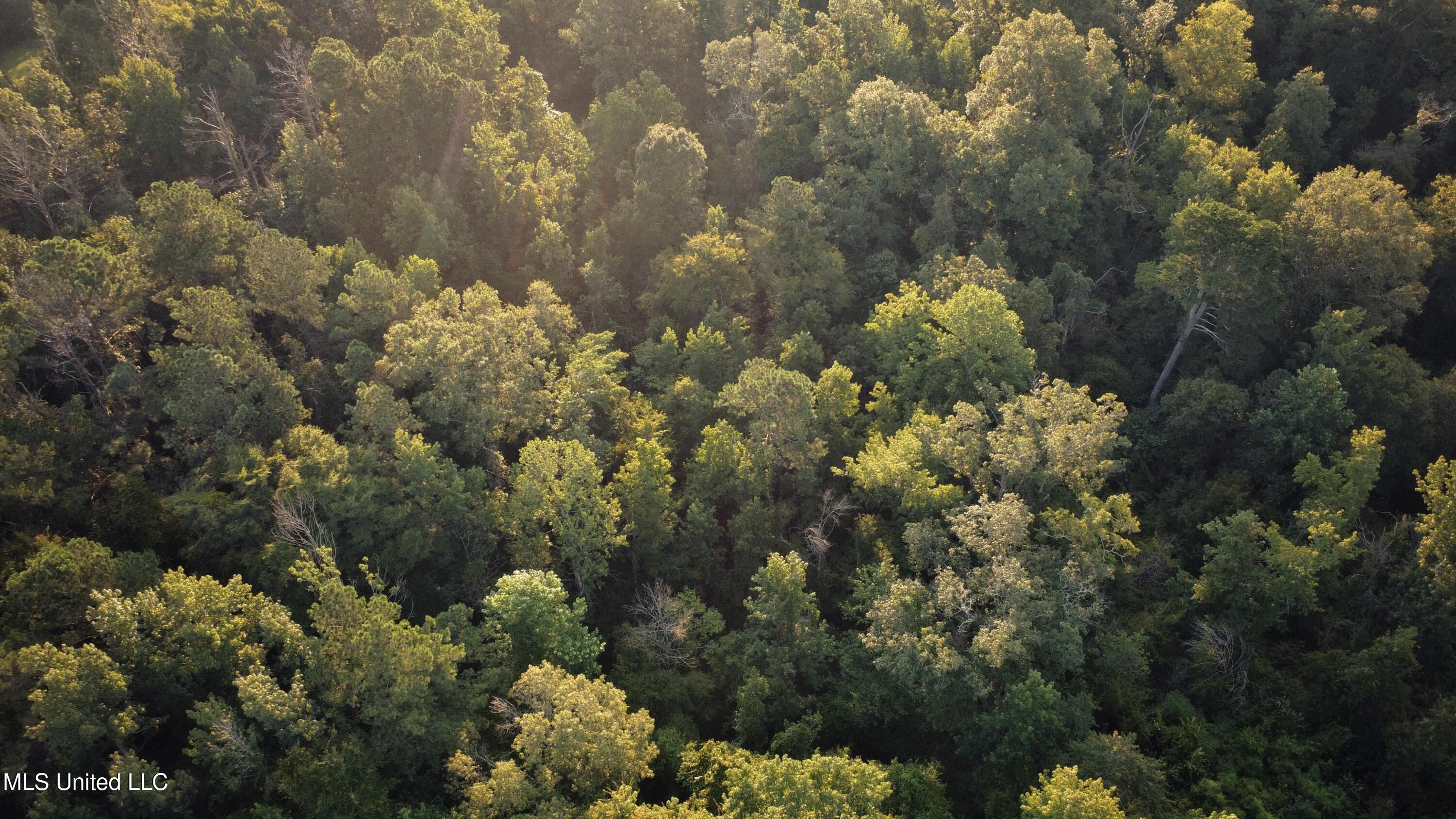 Sumrall Road Crystal Springs, MS 39059 - Photo 3 of 15 dji_fly_20250807_073302_170_175457025603