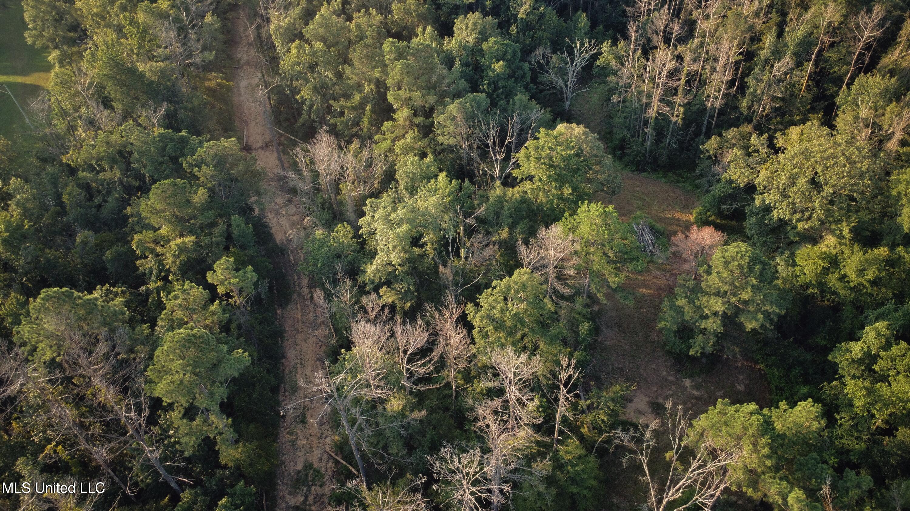 Sumrall Road Crystal Springs, MS 39059 - Photo 4 of 15 dji_fly_20250807_073518_172_175457025603