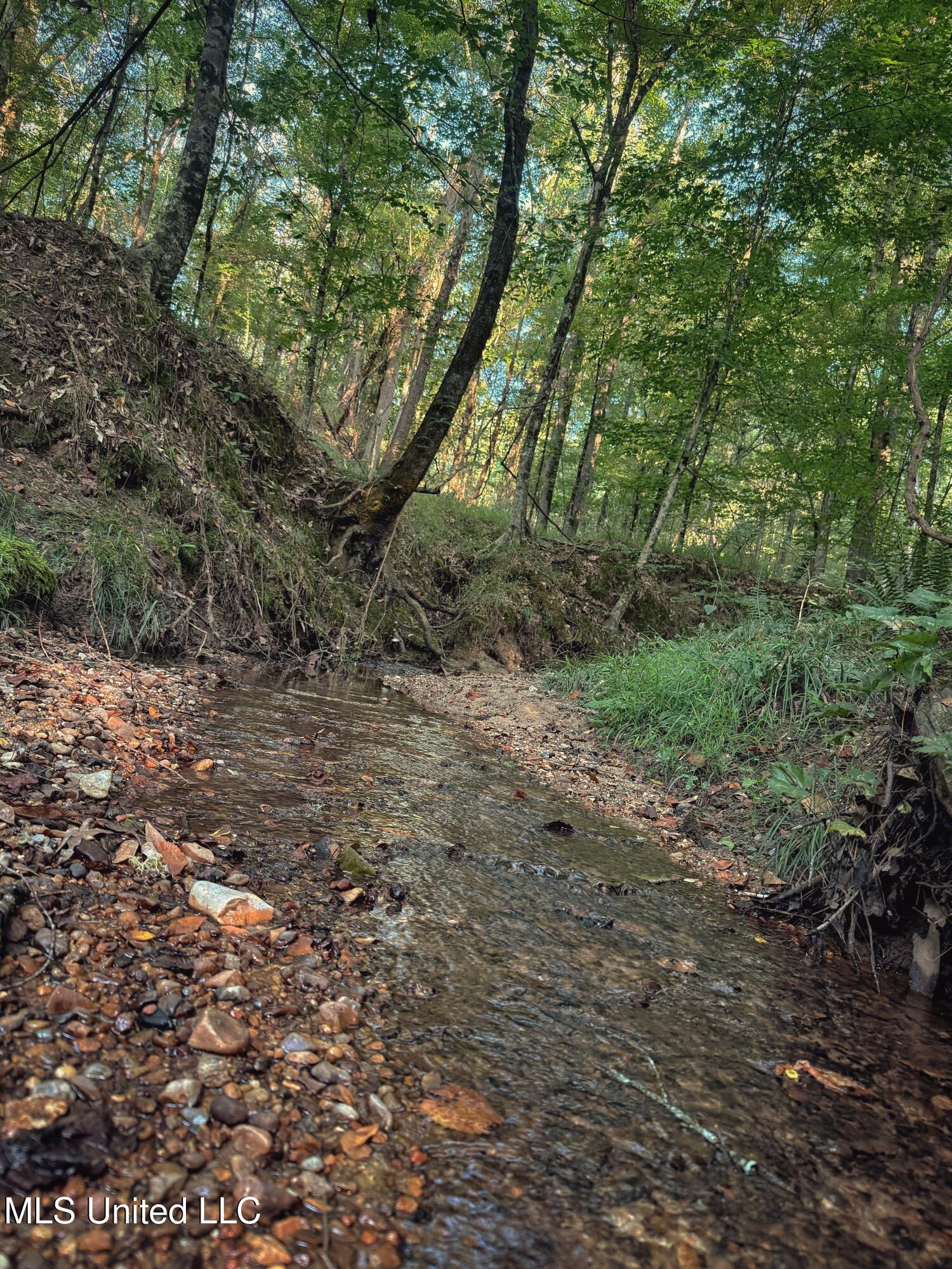 Sumrall Road Crystal Springs, MS 39059 - Photo 6 of 15 FullSizeRender