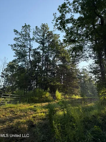 $314,730 | Sumrall Road, Crystal Springs, MS 39059