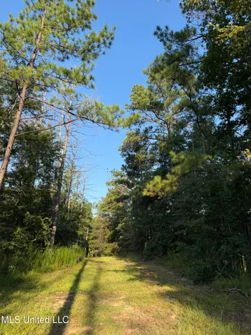 $314,730 | Sumrall Road, Crystal Springs, MS 39059