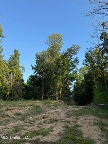 $314,730 | Sumrall Road, Crystal Springs, MS 39059