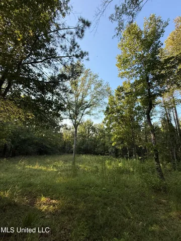 $314,730 | Sumrall Road, Crystal Springs, MS 39059