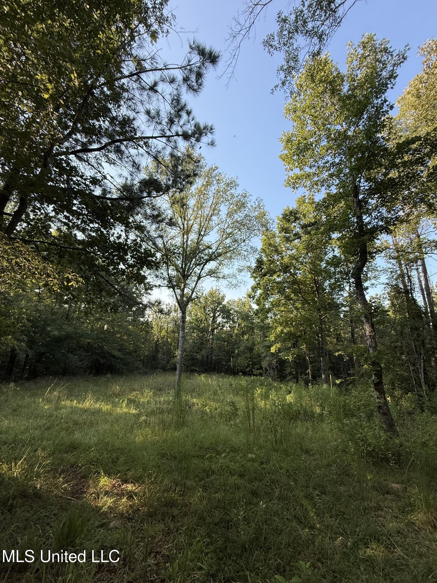 Sumrall Road Crystal Springs, MS 39059 - Photo 10 of 15 IMG_9523