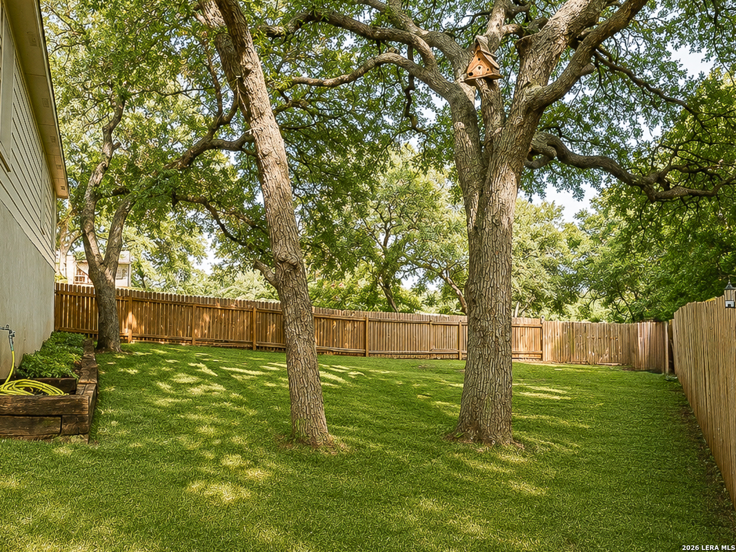 2364 Tree Branch Schertz, TX 78154 - Photo 24 of 28