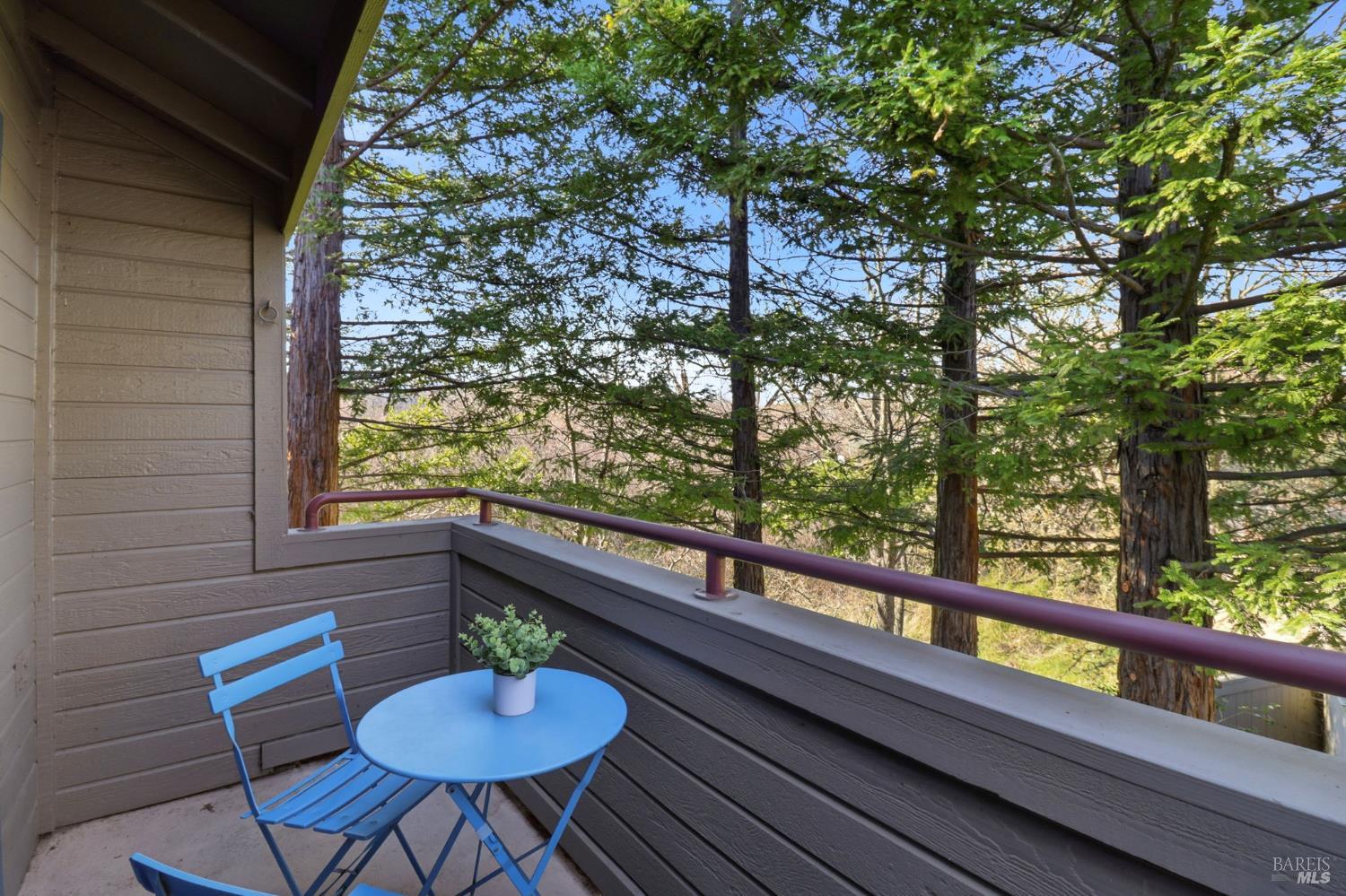 240 Seagull Row Novato, CA 94945 - Photo 6 of 24 peaceful mornings enjoying the redwoods from your secluded balcony off the bedroom