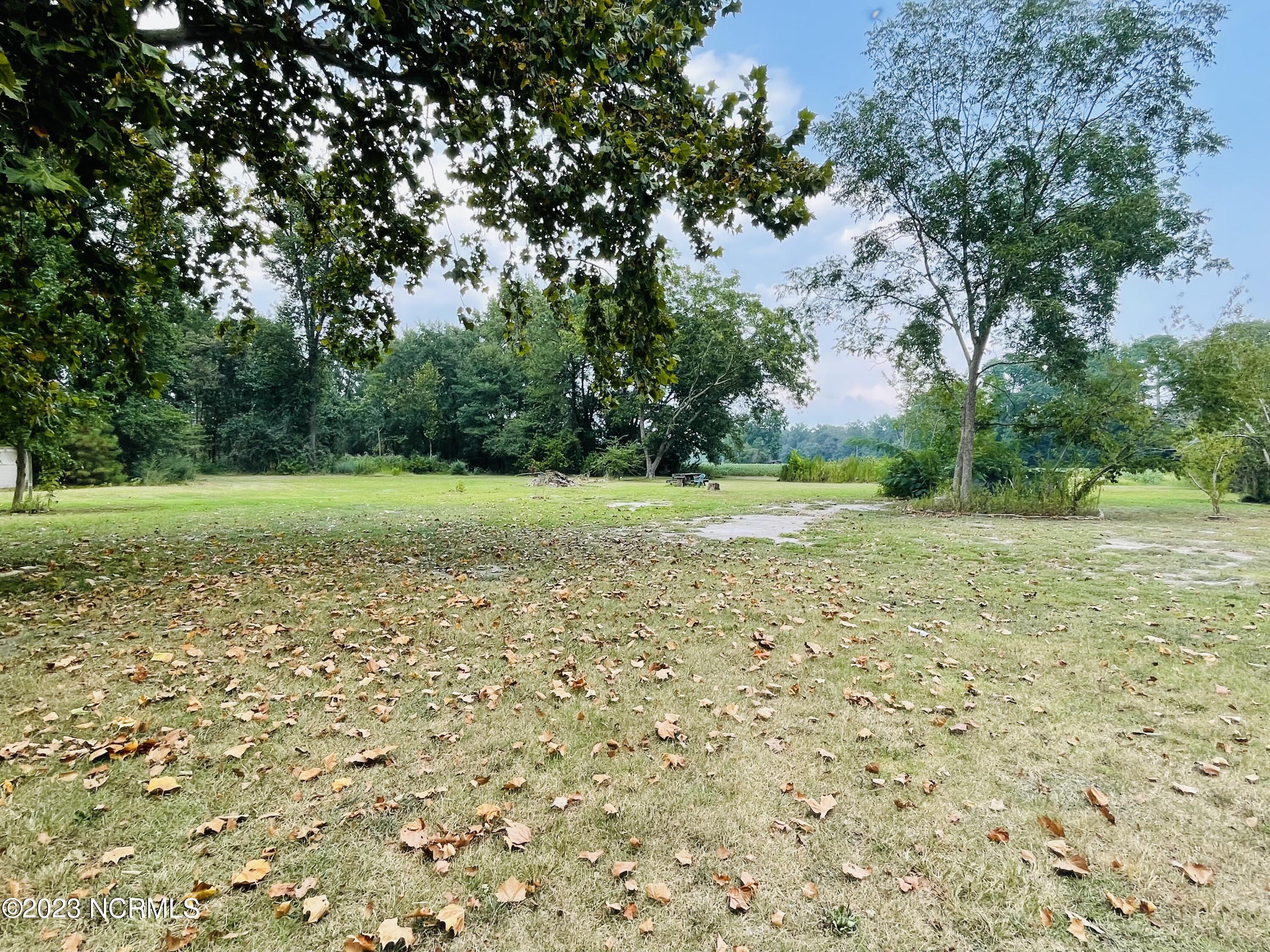 6741 Fire Dept Road Williamston, NC 27892 - Photo 10 of 57 Back Yard