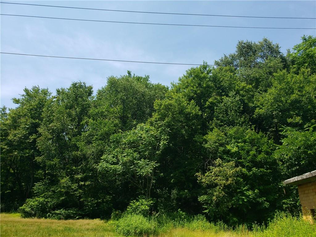 1439 Sharon Road New Brighton, PA 15066 - Photo 19 of 33 a backyard with plants