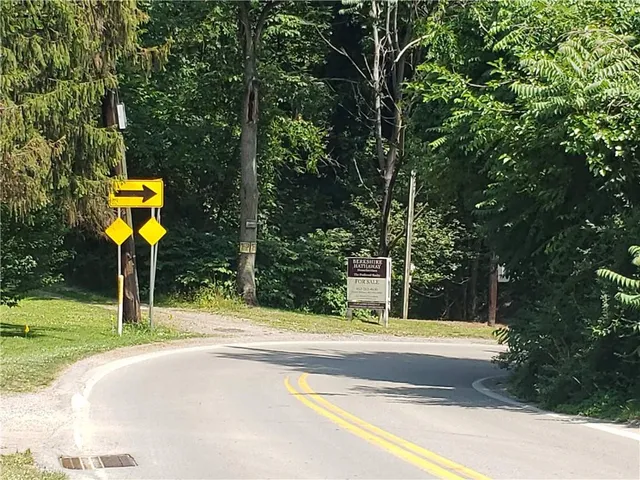 a view of street with tall trees