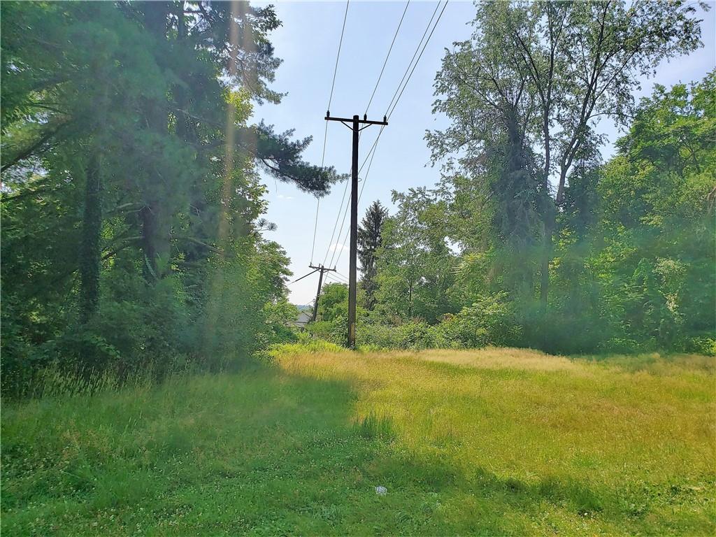 1439 Sharon Road New Brighton, PA 15066 - Photo 22 of 33 a view of a yard with a tree