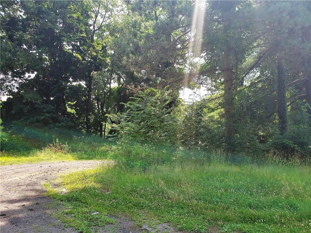 1439 Sharon Road New Brighton, PA 15066 - Photo 23 of 33 a view of a lake from a yard
