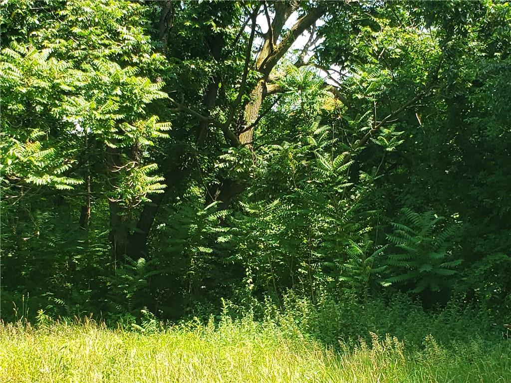 1439 Sharon Road New Brighton, PA 15066 - Photo 25 of 33 a backyard of a house with lots of green space