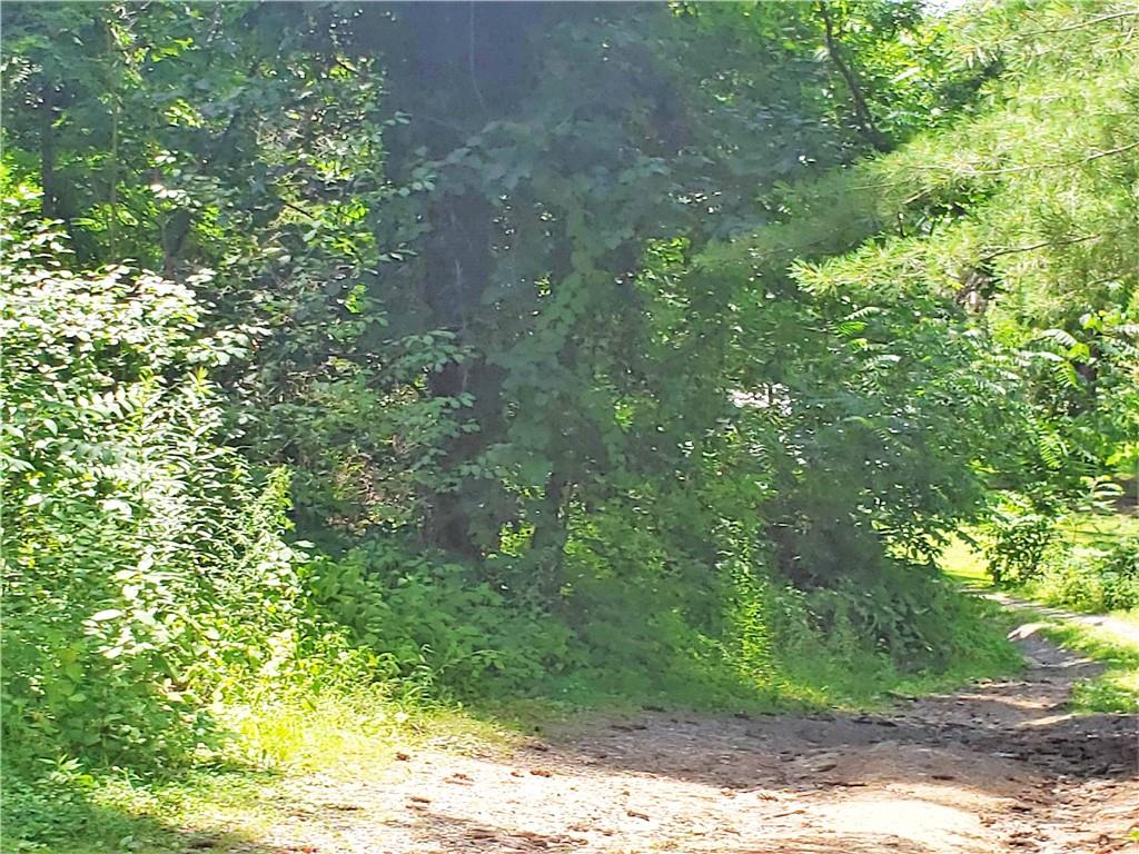 1439 Sharon Road New Brighton, PA 15066 - Photo 27 of 33 a view of a yard with plants and large trees