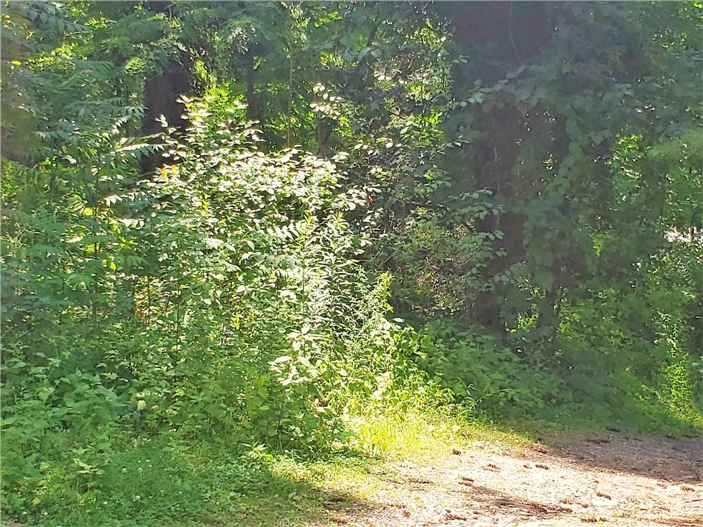1439 Sharon Road New Brighton, PA 15066 - Photo 29 of 33 a view of a yard