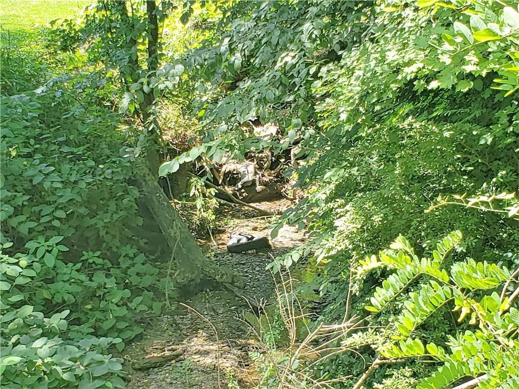 1439 Sharon Road New Brighton, PA 15066 - Photo 30 of 33 a view of a tree in a yard