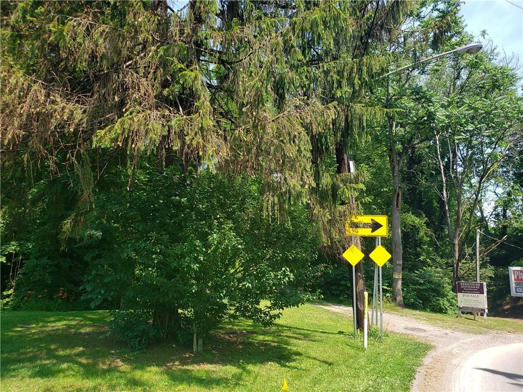 1439 Sharon Road New Brighton, PA 15066 - Photo 3 of 33 a view of a park