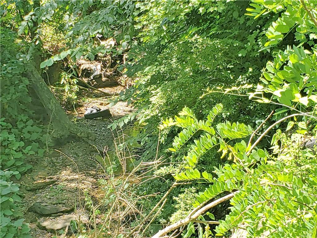 1439 Sharon Road New Brighton, PA 15066 - Photo 31 of 33 a view of a tree