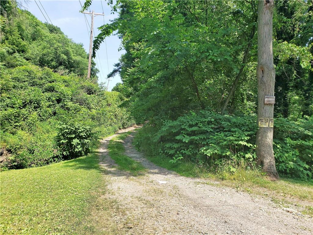 1439 Sharon Road New Brighton, PA 15066 - Photo 6 of 33 a view of a yard with plants and a large tree