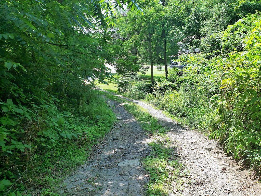 1439 Sharon Road New Brighton, PA 15066 - Photo 7 of 33 a plant in a yard
