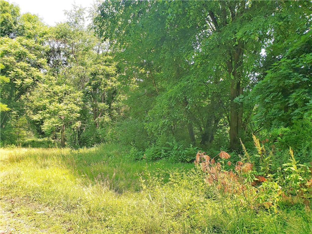 1439 Sharon Road New Brighton, PA 15066 - Photo 9 of 33 a view of a garden
