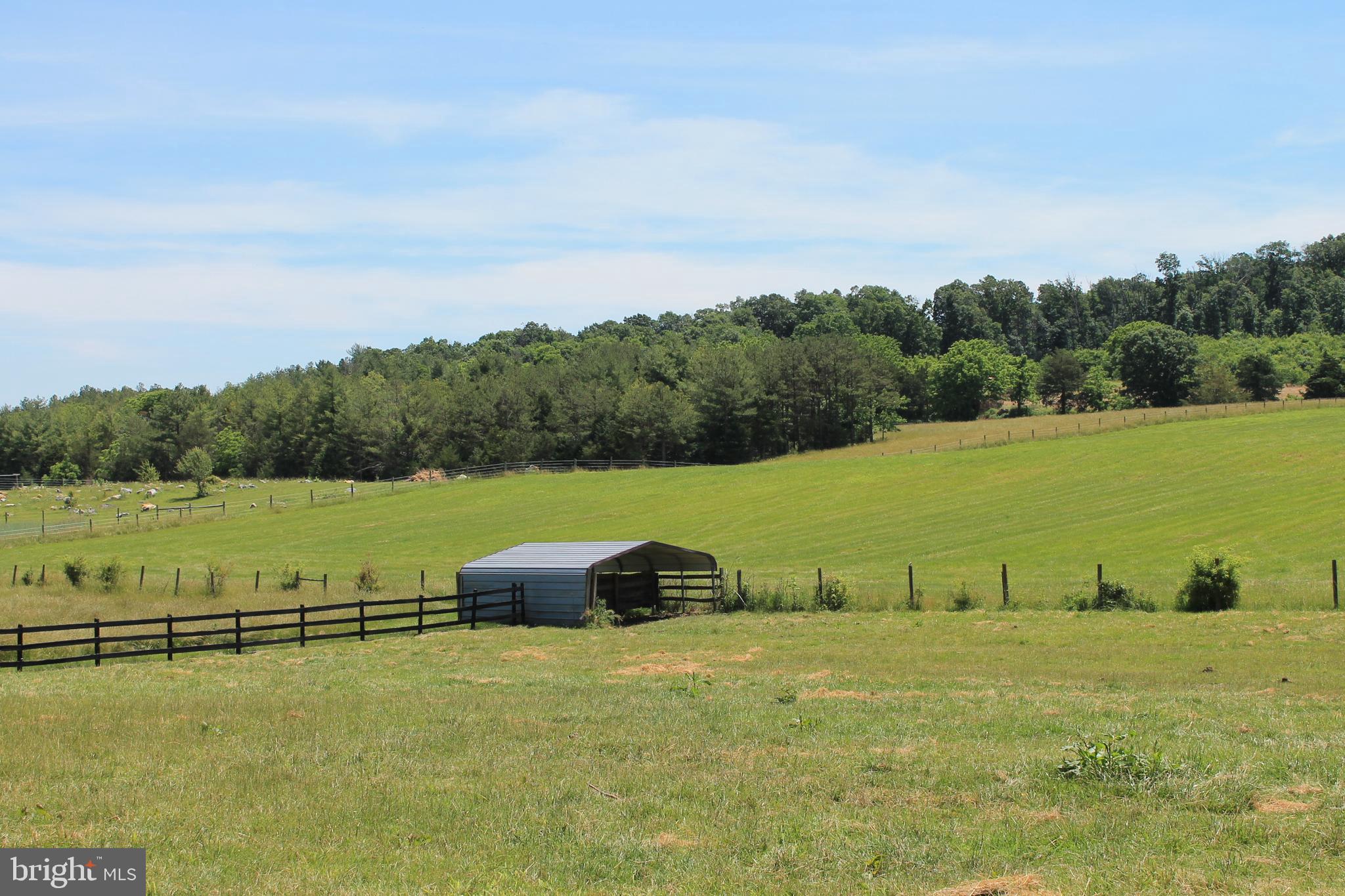 1615 Pleasant View Road Mount Jackson, VA 22842 - Photo 105 of 131 Run in Shed