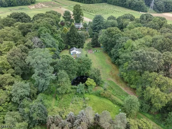 a view of a lush green park