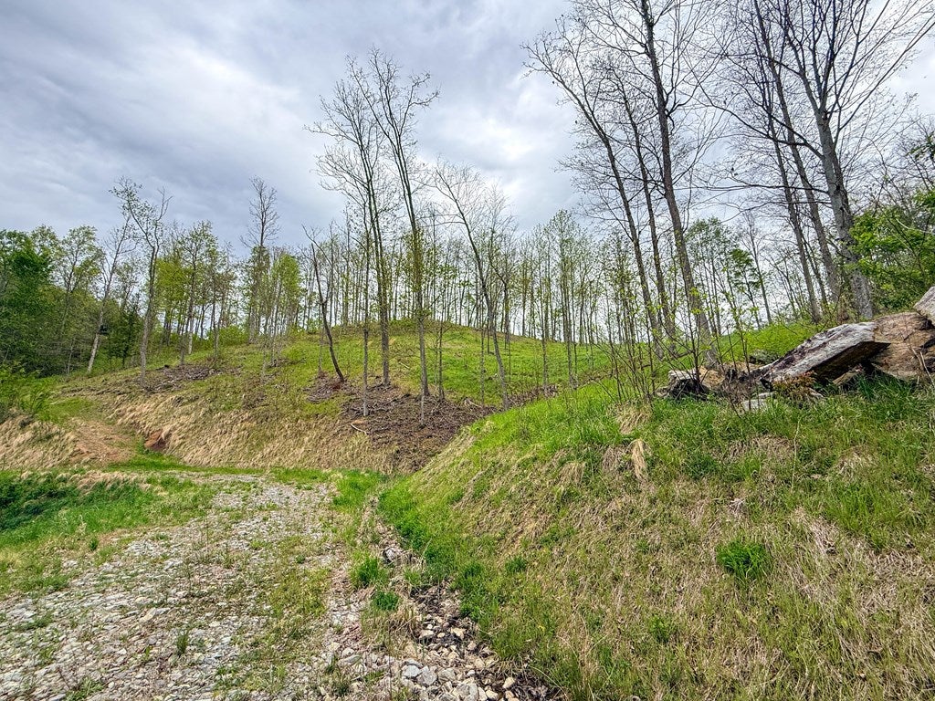 2789 Dry Fork Road, Unit 10 Bandy, VA 24602 - Photo 17 of 59 Gallery Image 17
