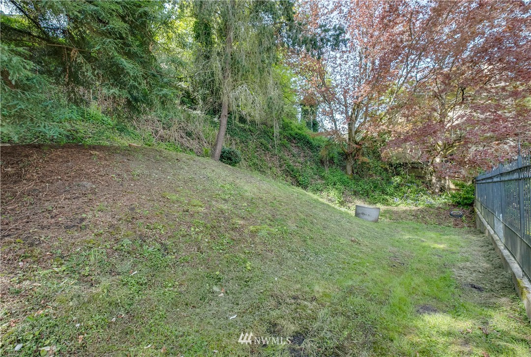 1701 41st Avenue Southwest Seattle, WA 98116 - Photo 14 of 21 a big yard with lots of green space and deers