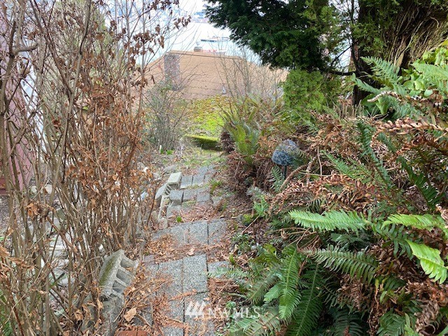 1701 41st Avenue Southwest Seattle, WA 98116 - Photo 19 of 21 a backyard of a house with lots of green space