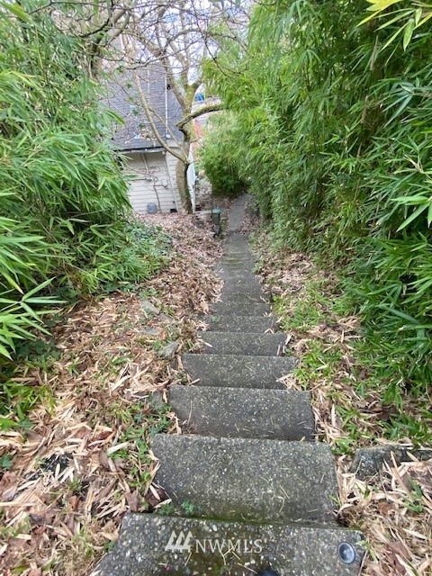 1701 41st Avenue Southwest Seattle, WA 98116 - Photo 20 of 21 a view of a garden with trees