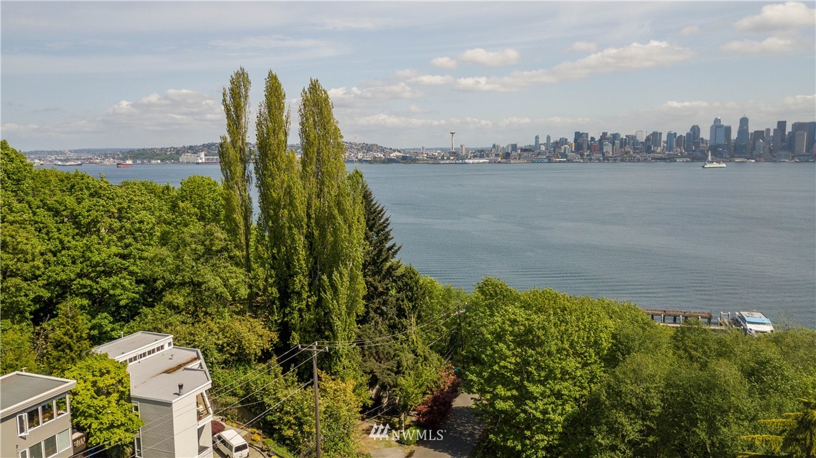 1701 41st Avenue Southwest Seattle, WA 98116 - Photo 2 of 21 a view of a lake with a city