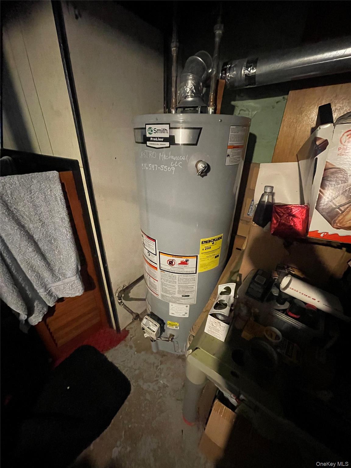 106-20 109th Avenue Queens, NY 11417 - Photo 12 of 12 Utility room featuring water heater
