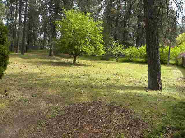 1203 South Woodruff Road Spokane Valley, WA 99206 - Photo 3 of 9 Gallery Image 3