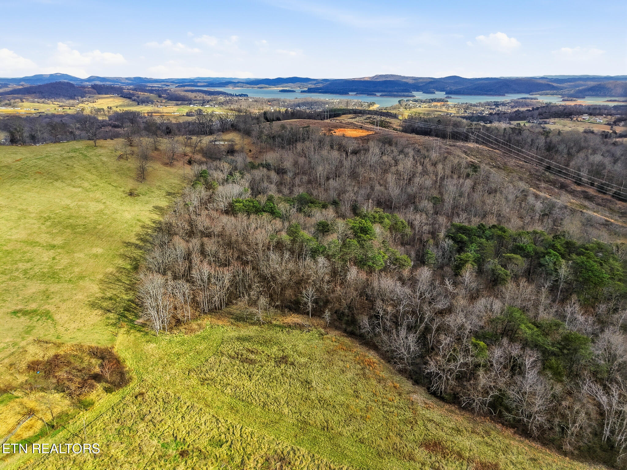 58.5-acres Greenlee Road Rutledge, TN 37861 - Photo 11 of 28 14-Greenlee Rd Rutledge, TN-12