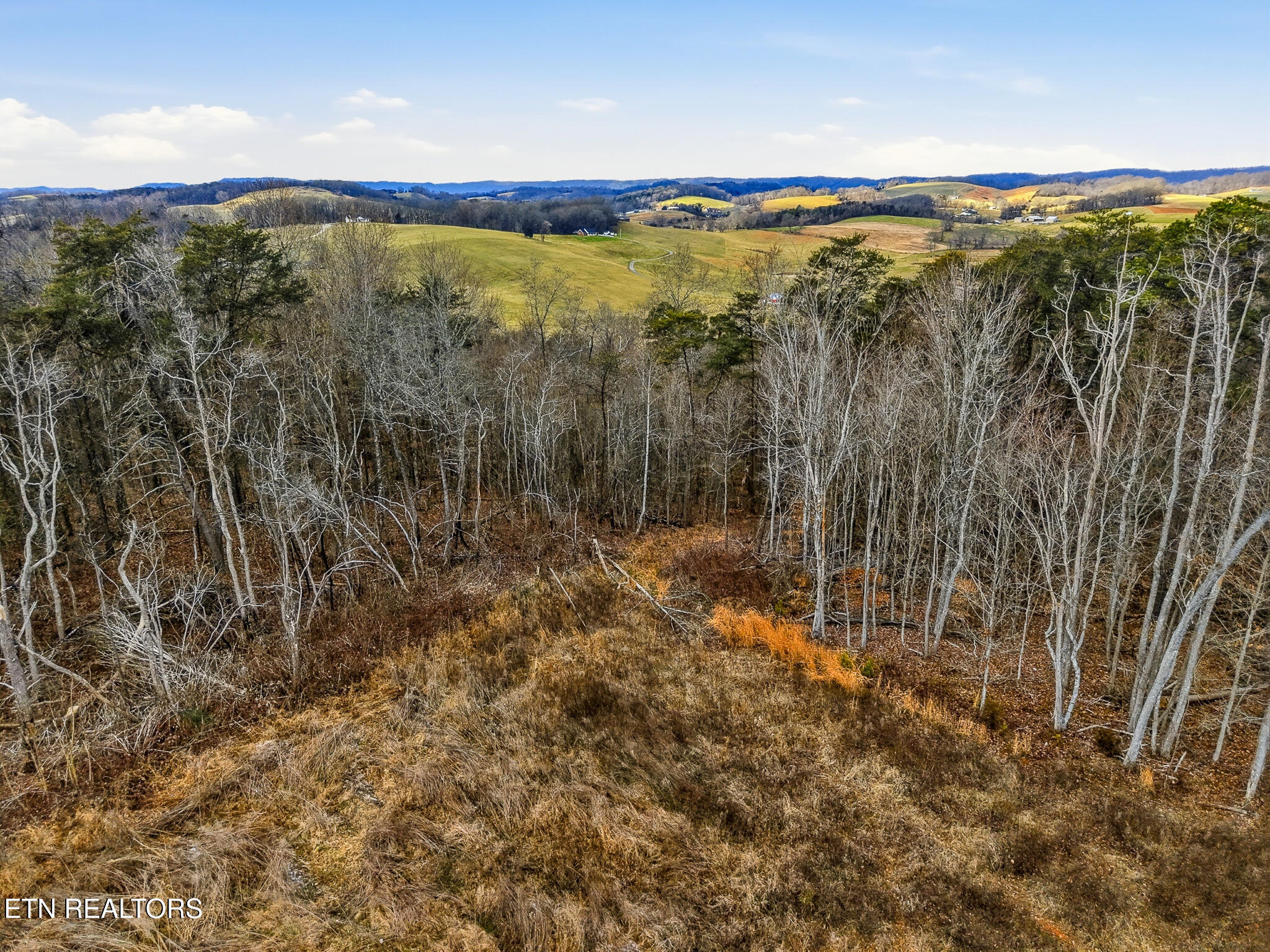 58.5-acres Greenlee Road Rutledge, TN 37861 - Photo 12 of 28 15-Greenlee Rd Rutledge, TN-11