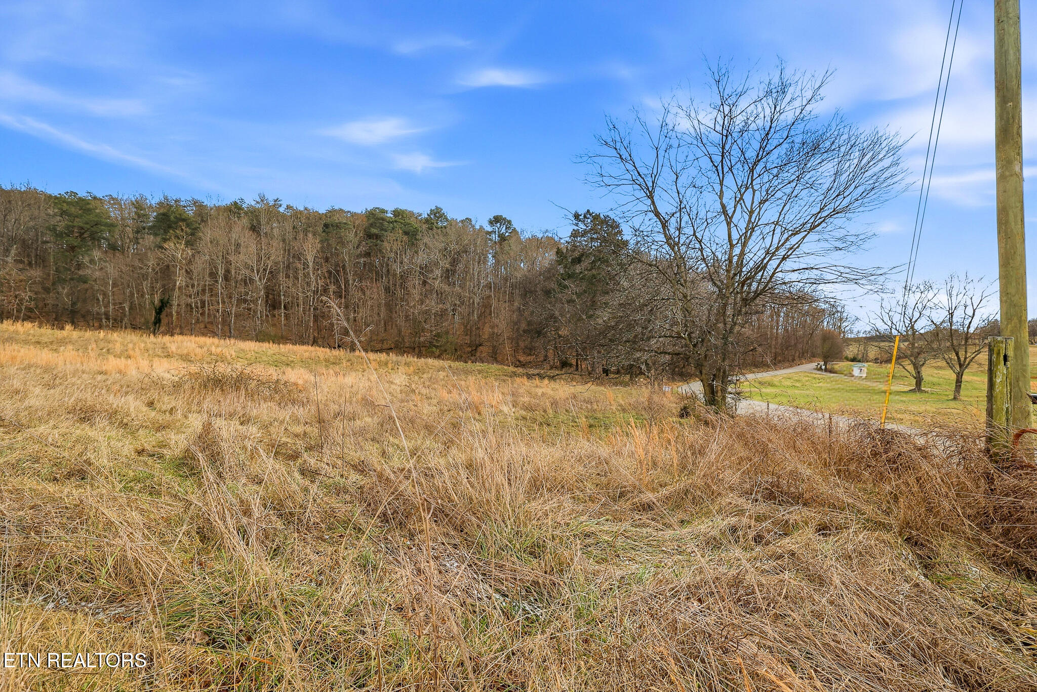 58.5-acres Greenlee Road Rutledge, TN 37861 - Photo 14 of 28 01-Greenlee Rd Rutledge, TN-25