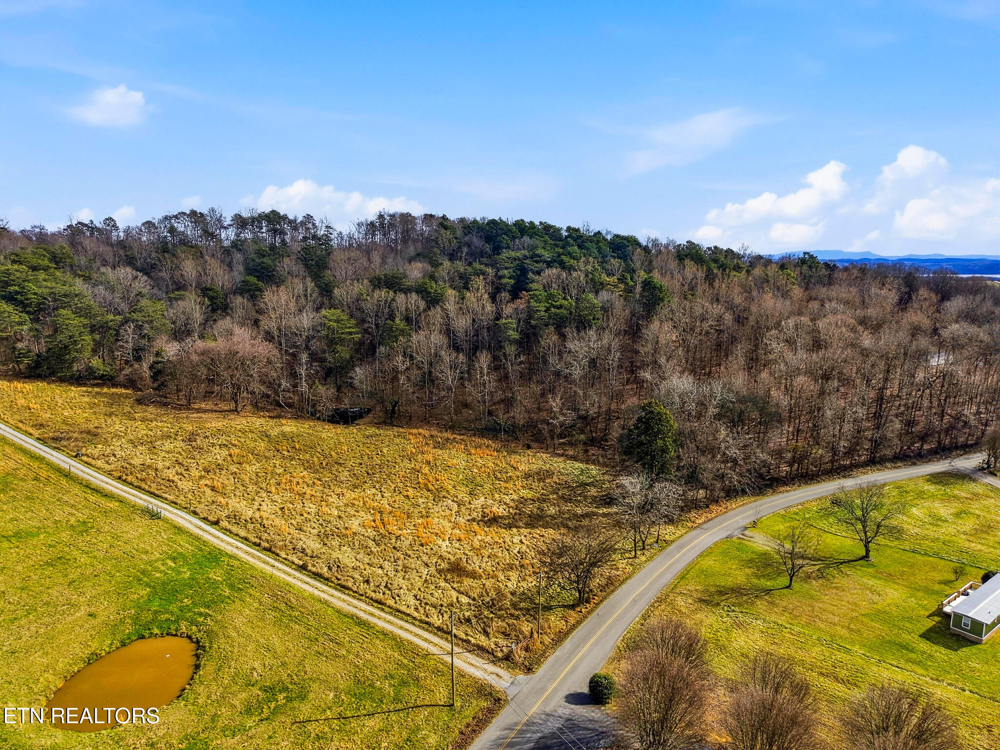 58.5-acres Greenlee Road Rutledge, TN 37861 - Photo 15 of 28 02-Greenlee Rd Rutledge, TN-24