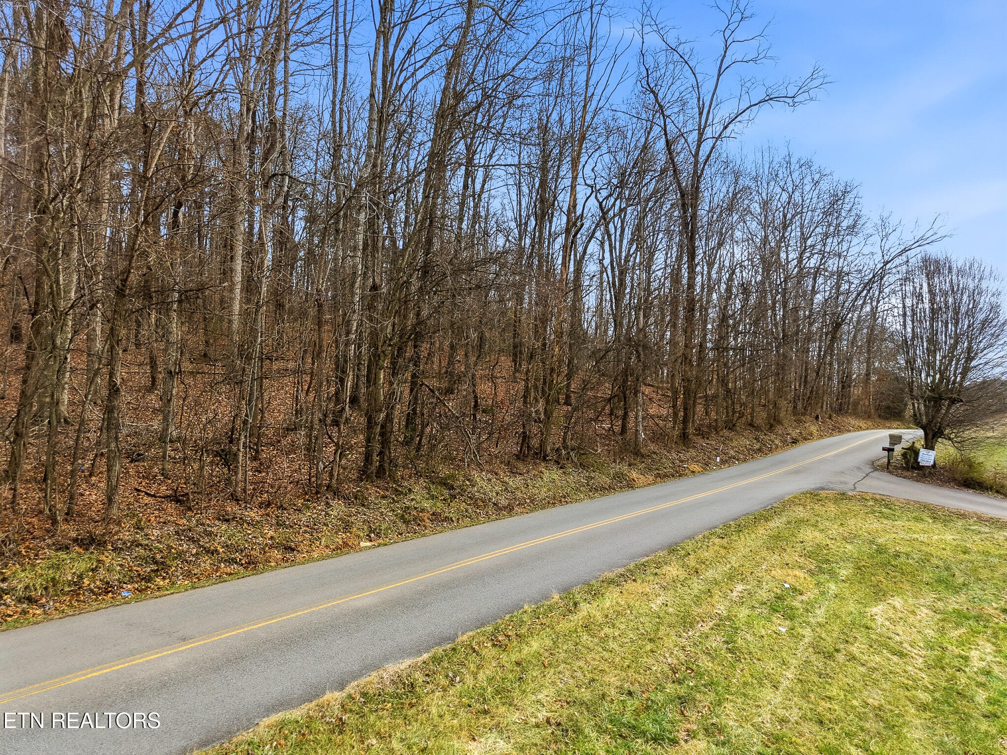 58.5-acres Greenlee Road Rutledge, TN 37861 - Photo 16 of 28 03-Greenlee Rd Rutledge, TN-23