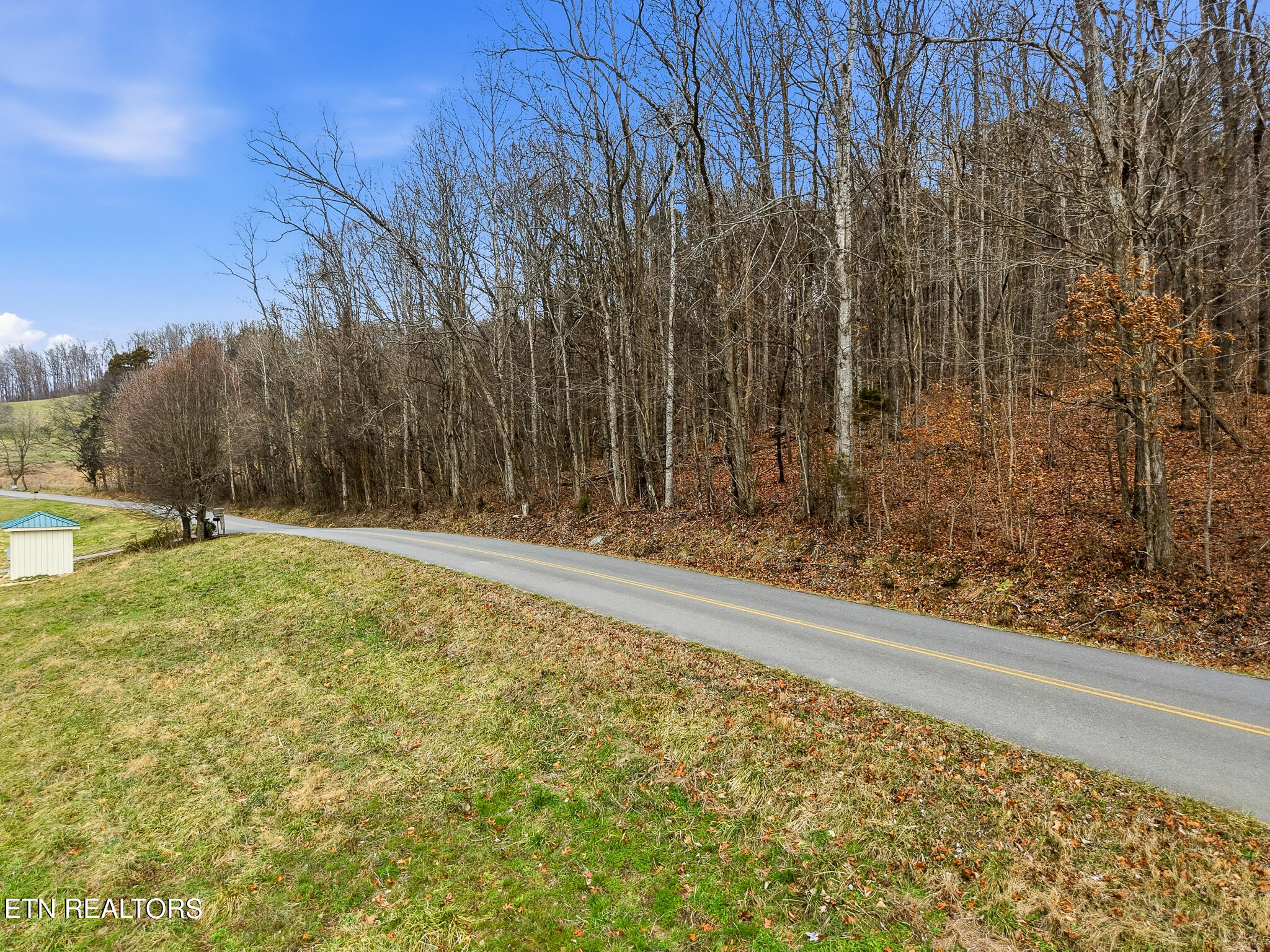 58.5-acres Greenlee Road Rutledge, TN 37861 - Photo 17 of 28 04-Greenlee Rd Rutledge, TN-22