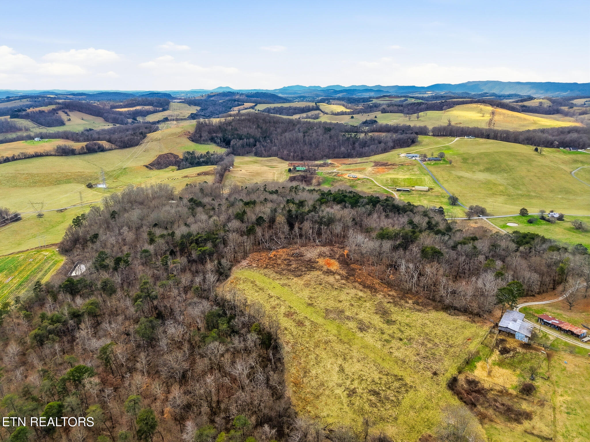 58.5-acres Greenlee Road Rutledge, TN 37861 - Photo 18 of 28 05-Greenlee Rd Rutledge, TN-19
