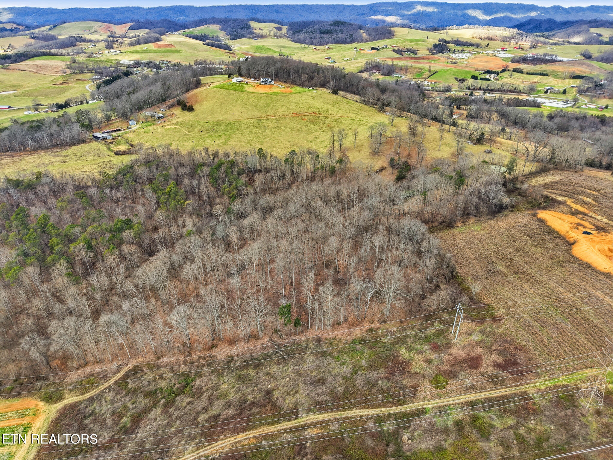 58.5-acres Greenlee Road Rutledge, TN 37861 - Photo 19 of 28 06-Greenlee Rd Rutledge, TN-18