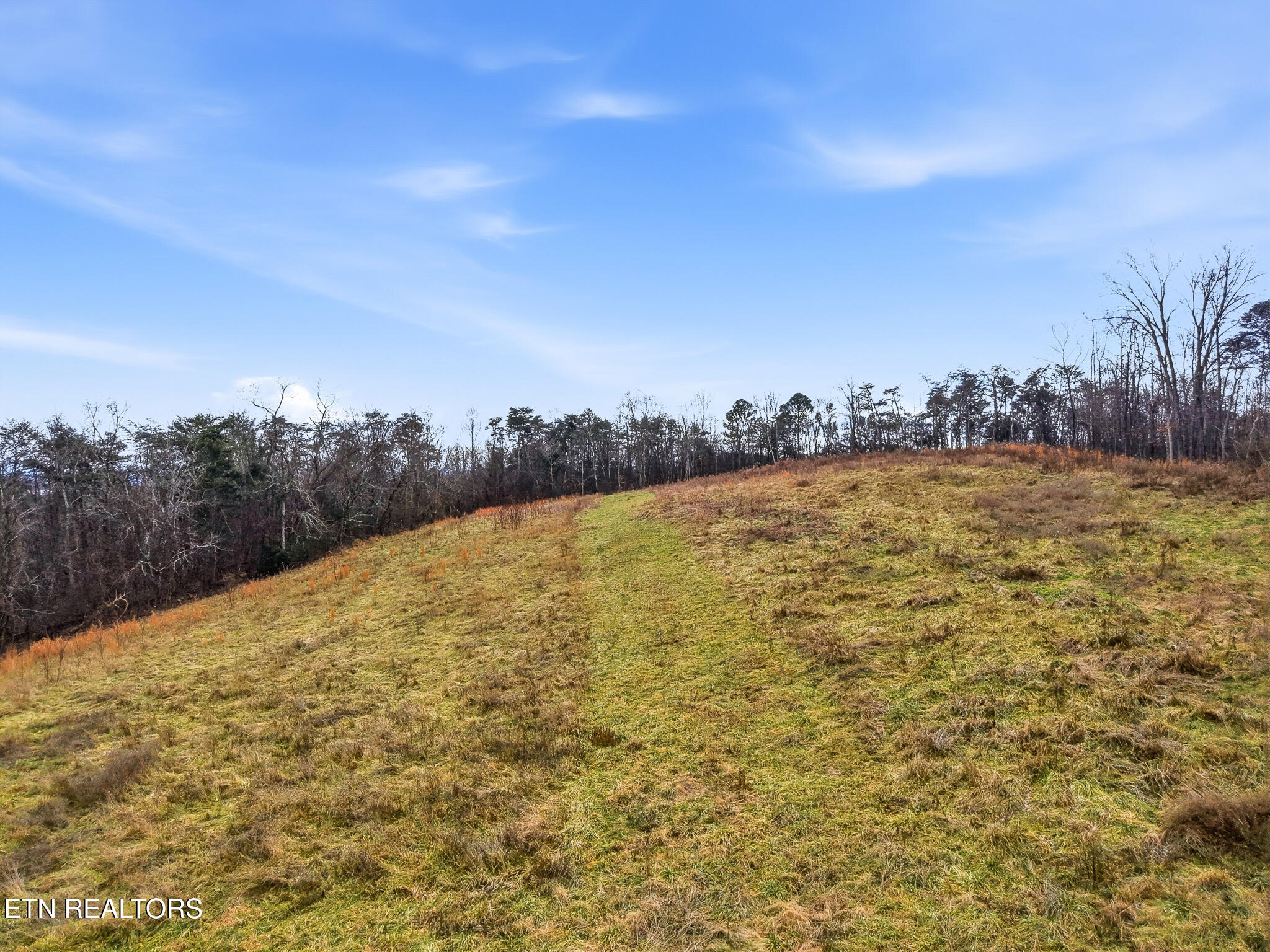 58.5-acres Greenlee Road Rutledge, TN 37861 - Photo 20 of 28 07-Greenlee Rd Rutledge, TN-20