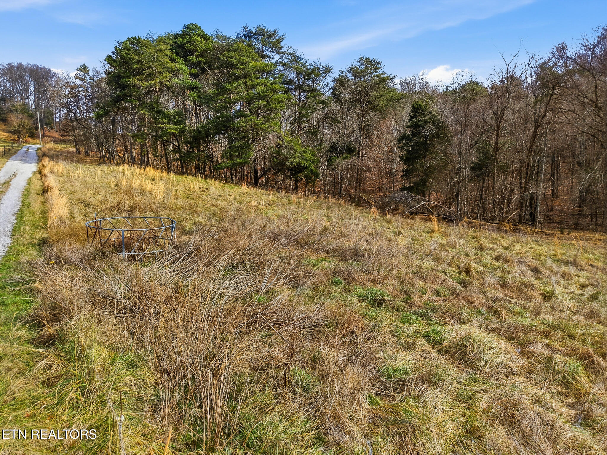 58.5-acres Greenlee Road Rutledge, TN 37861 - Photo 22 of 28 18-Greenlee Rd Rutledge, TN-8