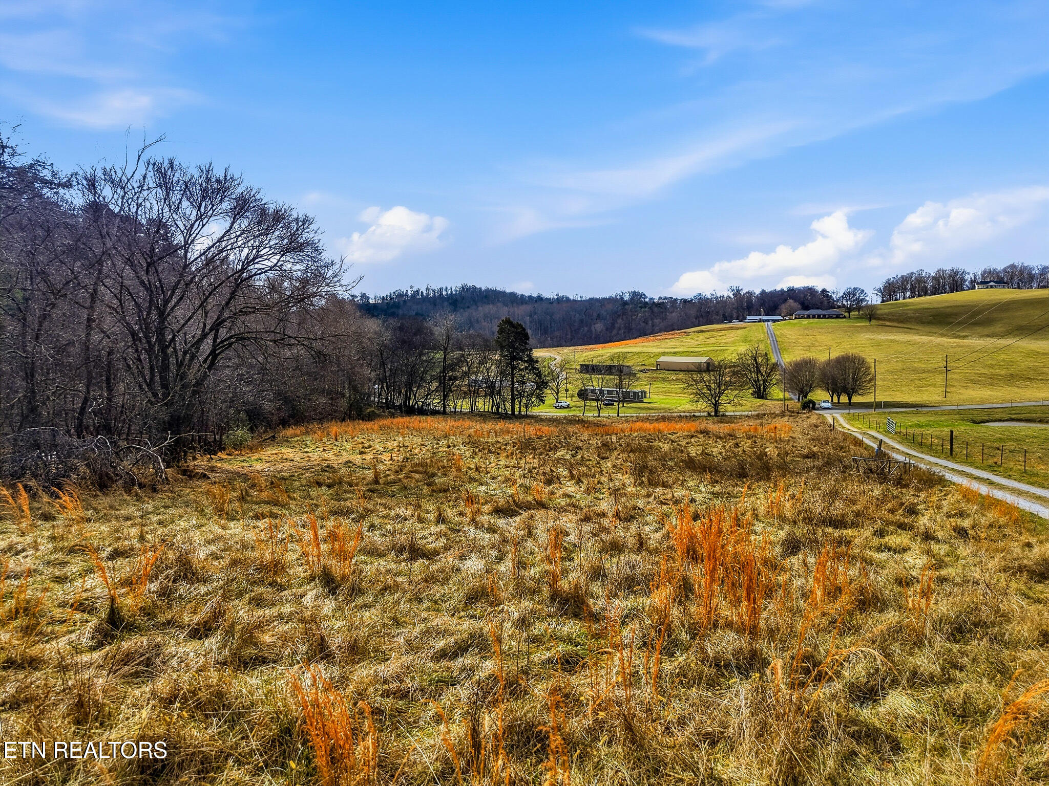58.5-acres Greenlee Road Rutledge, TN 37861 - Photo 23 of 28 19-Greenlee Rd Rutledge, TN-7