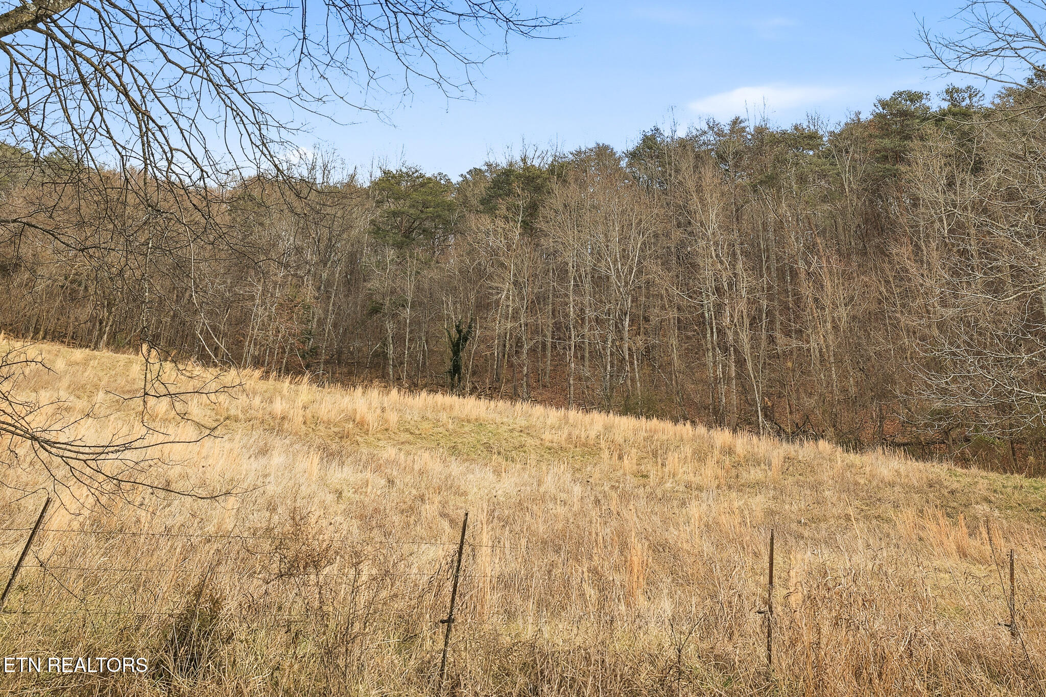 58.5-acres Greenlee Road Rutledge, TN 37861 - Photo 24 of 28 20-Greenlee Rd Rutledge, TN-2