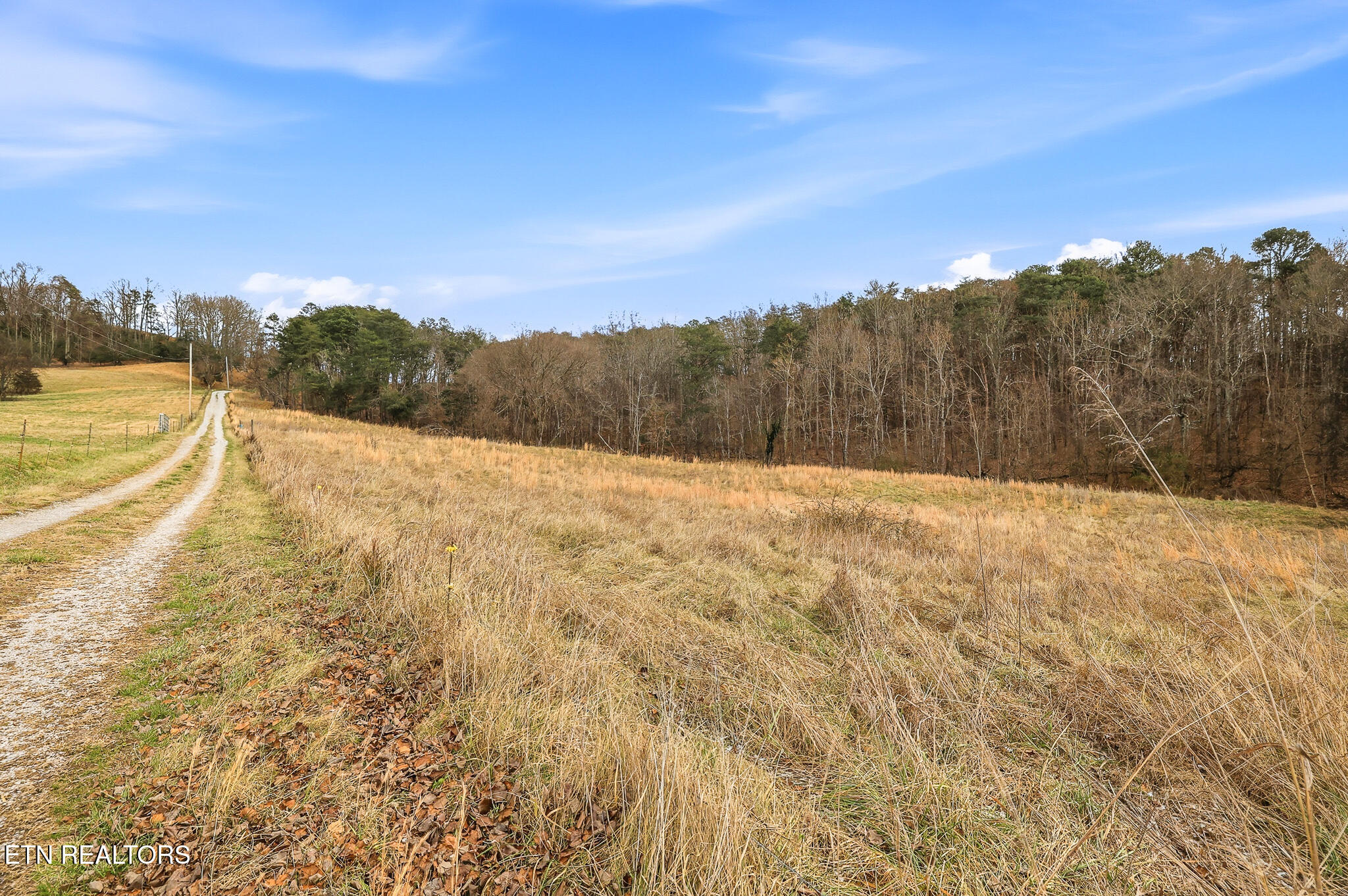 58.5-acres Greenlee Road Rutledge, TN 37861 - Photo 26 of 28 22-Greenlee Rd Rutledge, TN