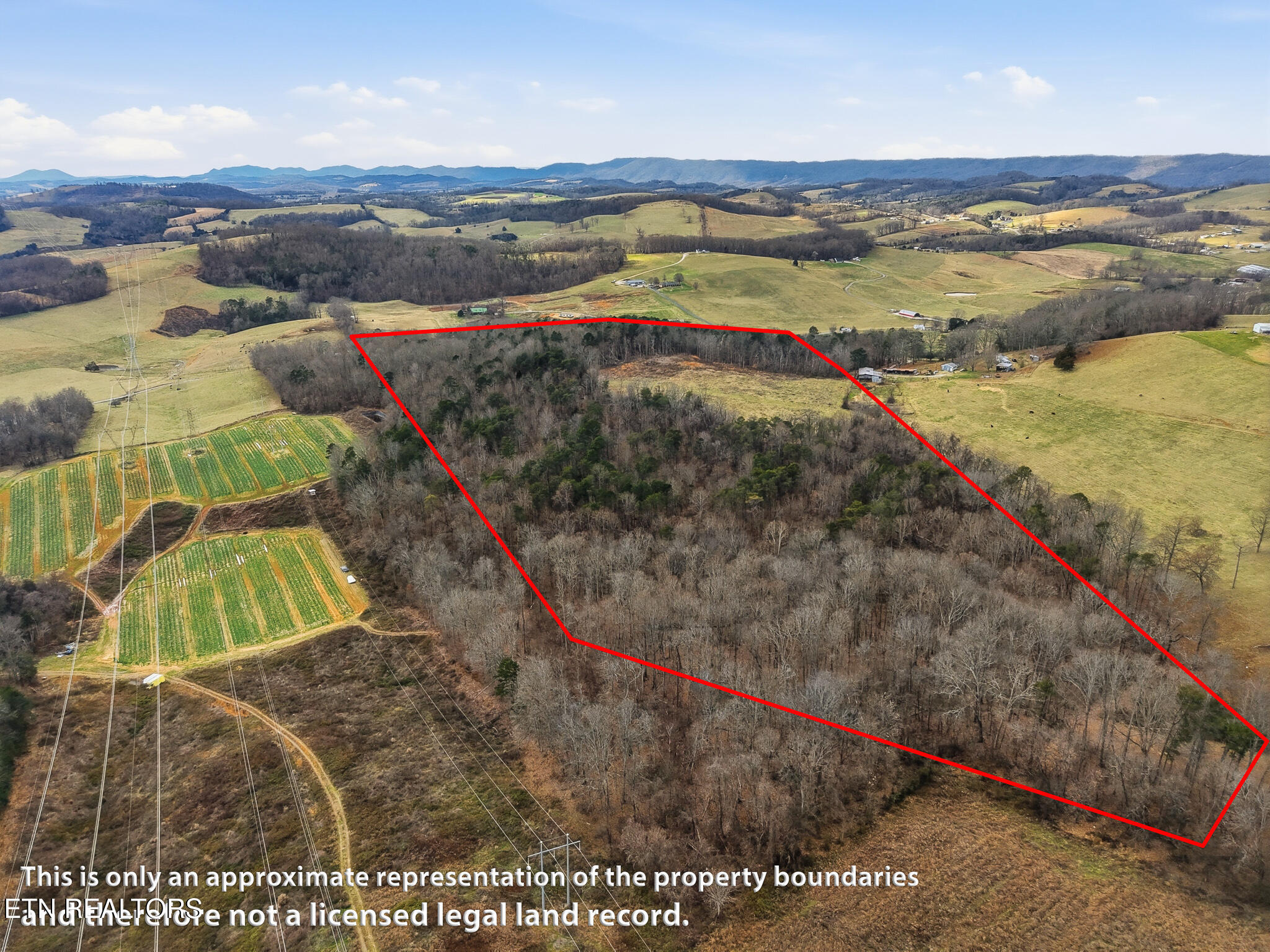 58.5-acres Greenlee Road Rutledge, TN 37861 - Photo 27 of 28 25-Greenlee Rd Rutledge, TN-4